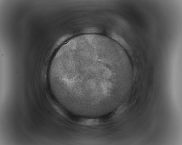 X0000085250155200703301818