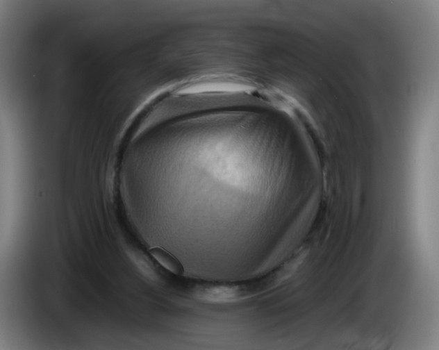 X0000085250156200703301818