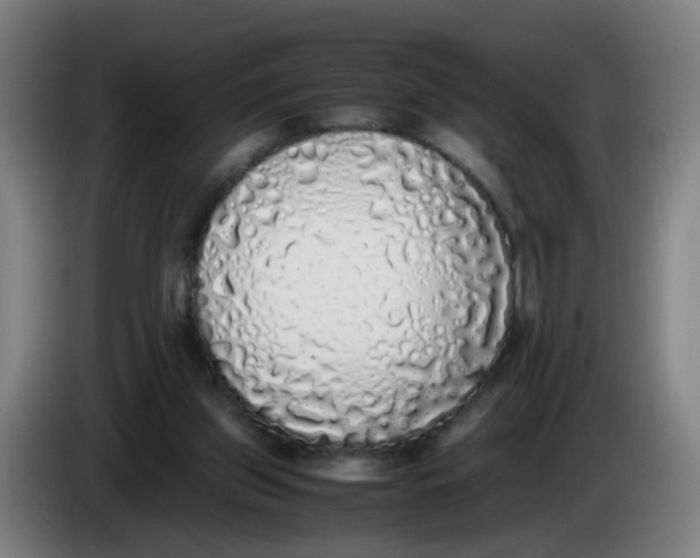 X0000085250157200703301818