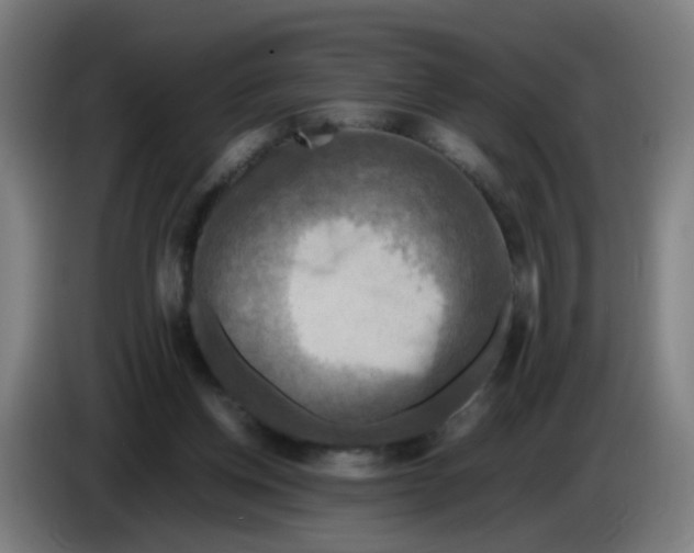 X0000085250158200703301818