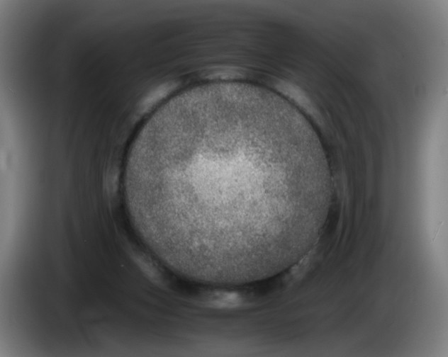 X0000085250159200703301818