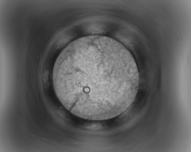 X0000085250162200703301818