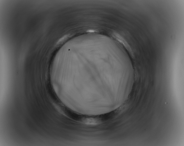 X0000085250163200703301818