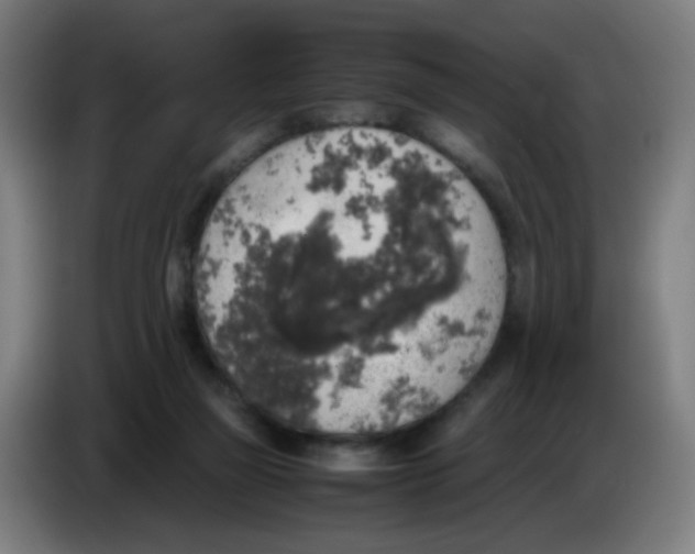 X0000085250165200703301818