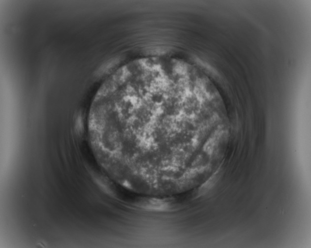 X0000085250166200703301818