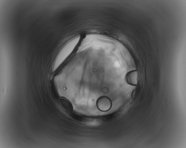 X0000085250167200703301818