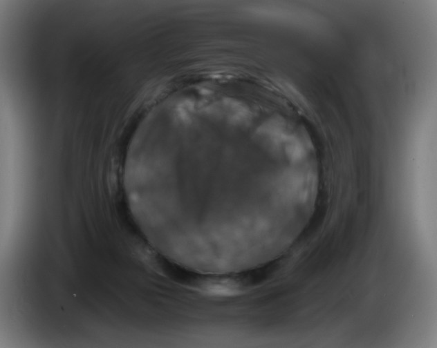 X0000085250169200703301818