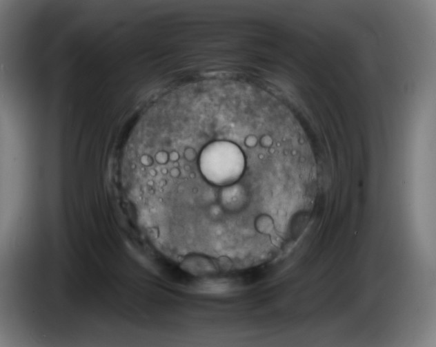 X0000085250171200703301818