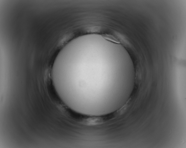 X0000085250172200703301818