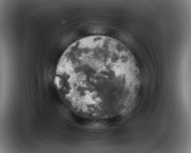 X0000085250175200703301818