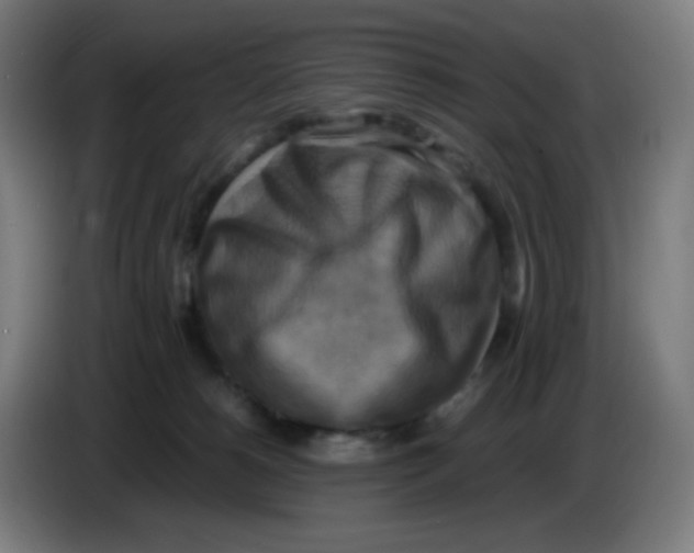 X0000085250180200703301818