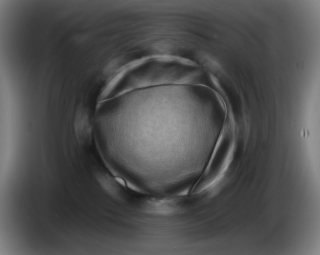 X0000085250186200703301818