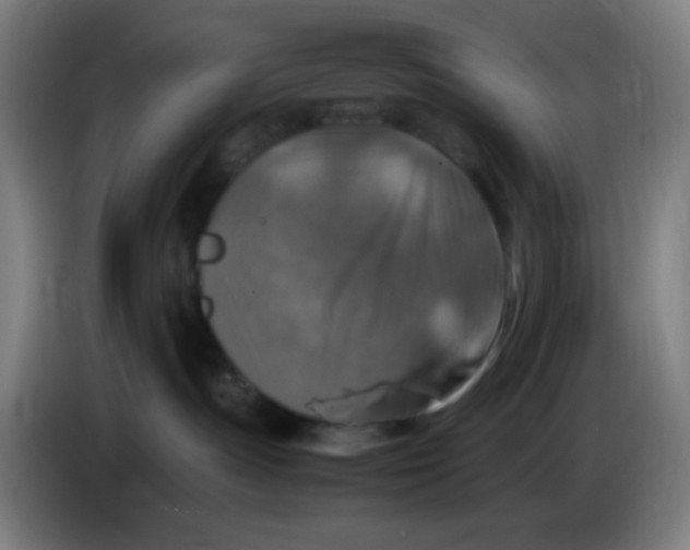 X0000085250191200703301818