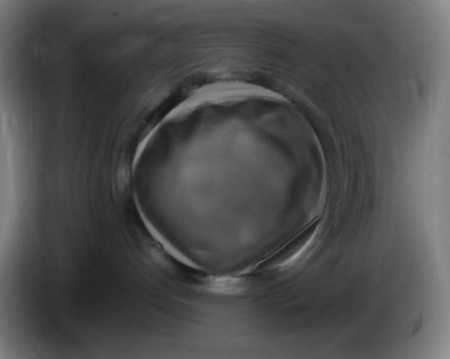 X0000085250192200703301818