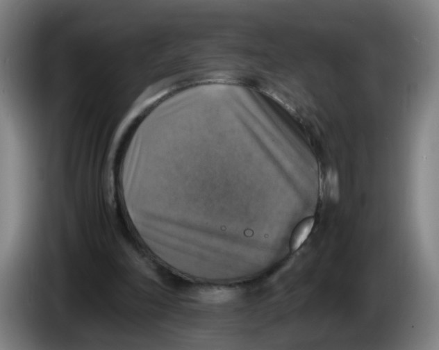 X0000085250198200703301817