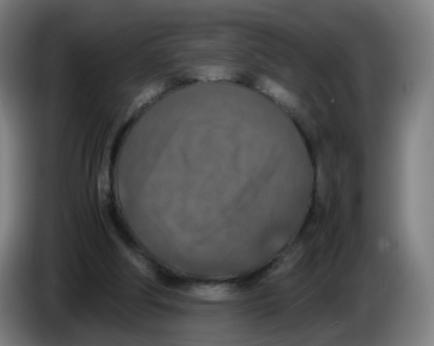 X0000085250202200703301817