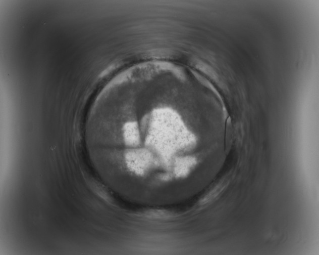 X0000085250203200703301817