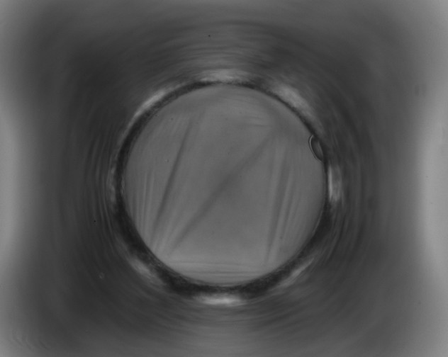 X0000085250204200703301817