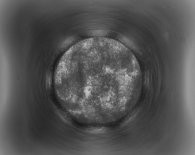 X0000085250206200703301817