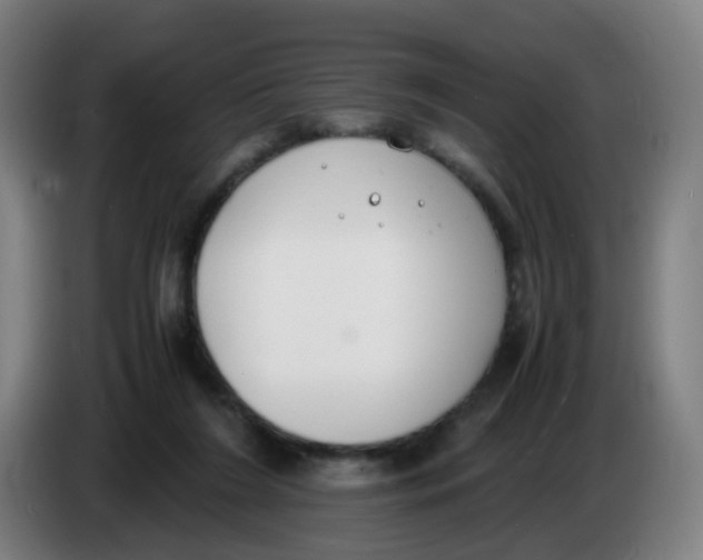 X0000085250212200703301817