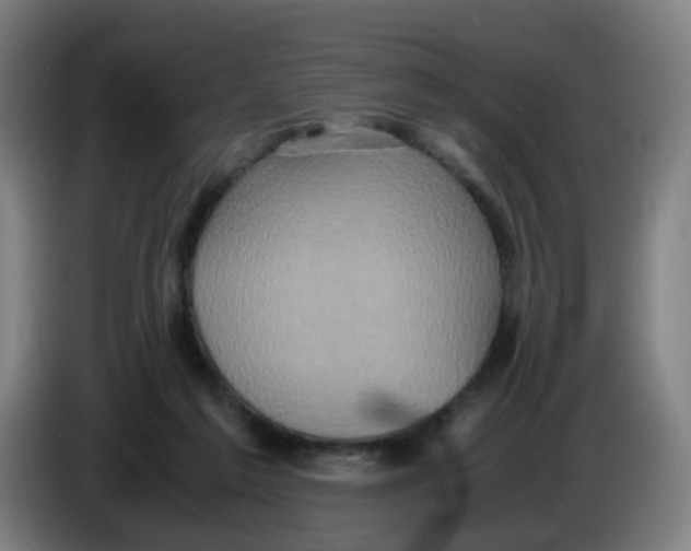 X0000085250213200703301817