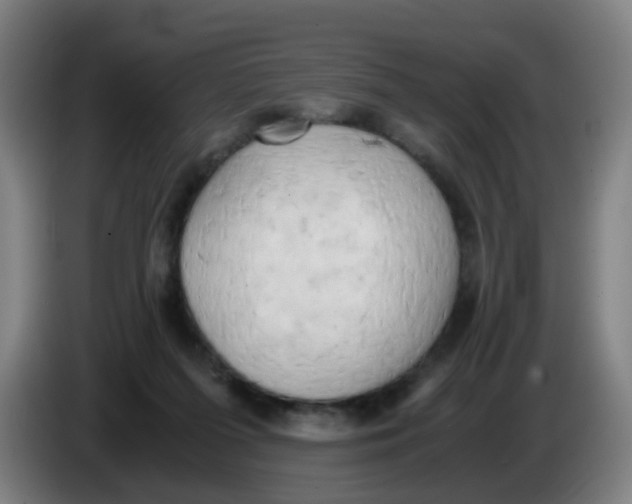 X0000085250215200703301817