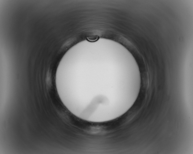 X0000085250216200703301817