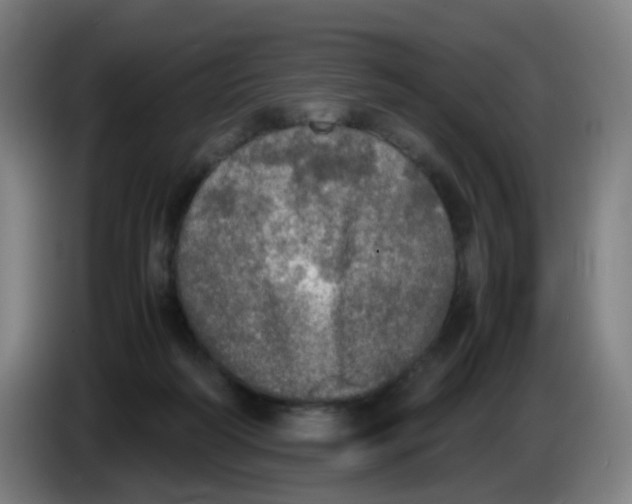 X0000085250218200703301817