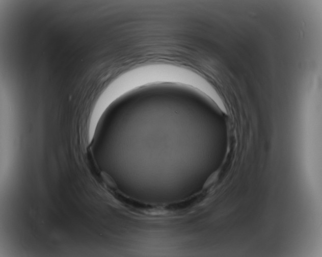 X0000085250219200703301817