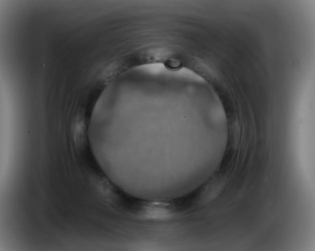 X0000085250222200703301817