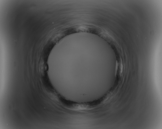 X0000085250223200703301817