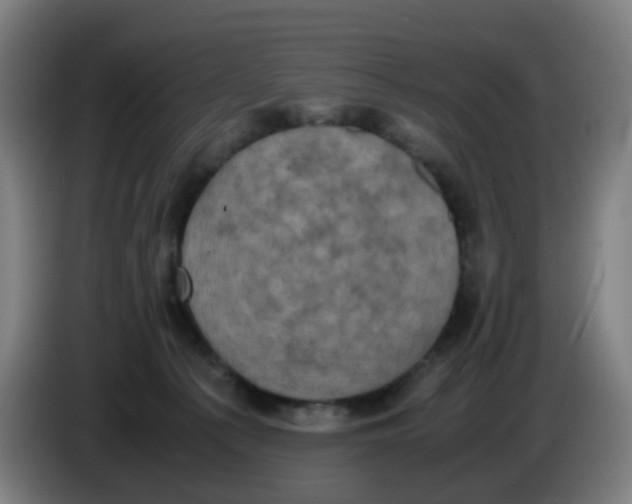 X0000085250225200703301817