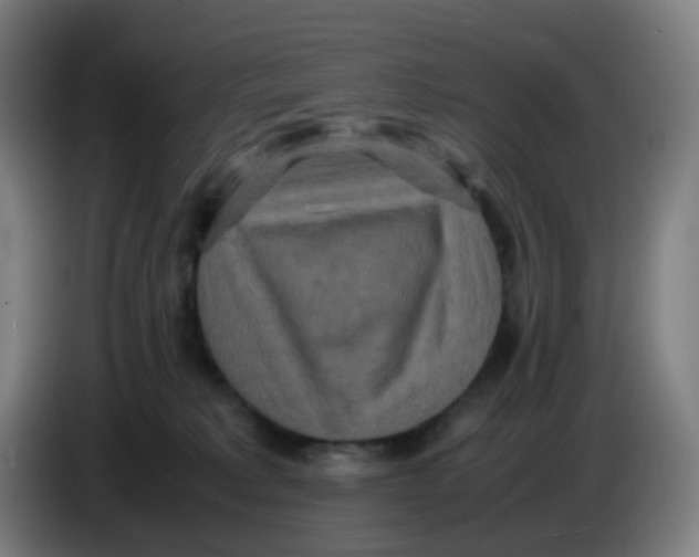 X0000085250229200703301817