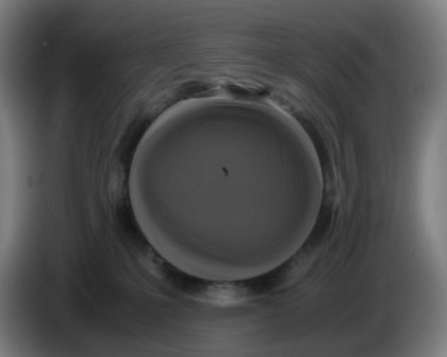 X0000085250231200703301817