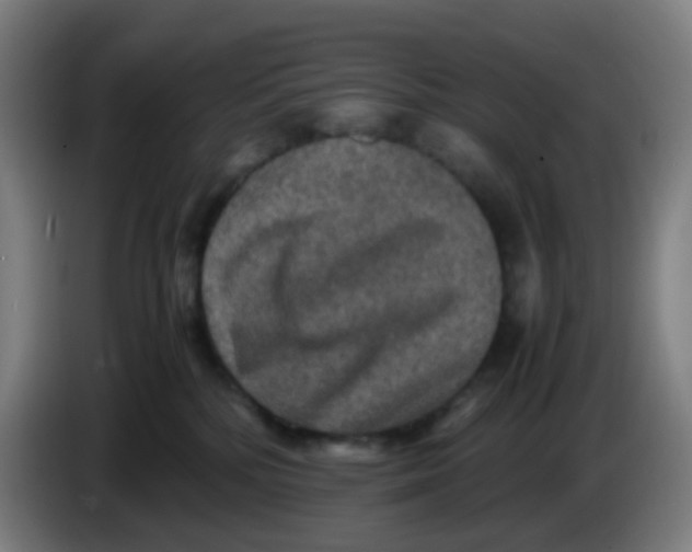 X0000085250232200703301817