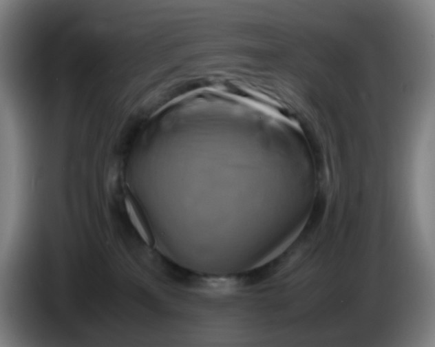 X0000085250233200703301817