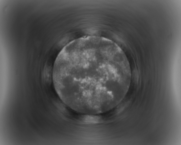 X0000085250234200703301817