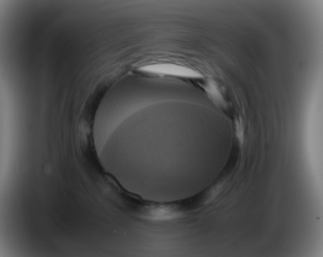 X0000085250235200703301817