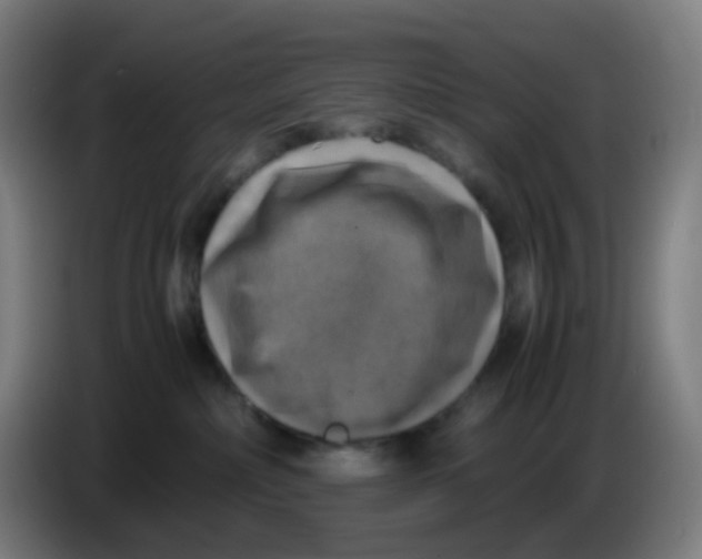 X0000085250236200703301817