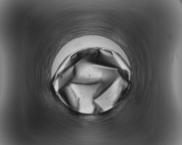 X0000085250237200703301817