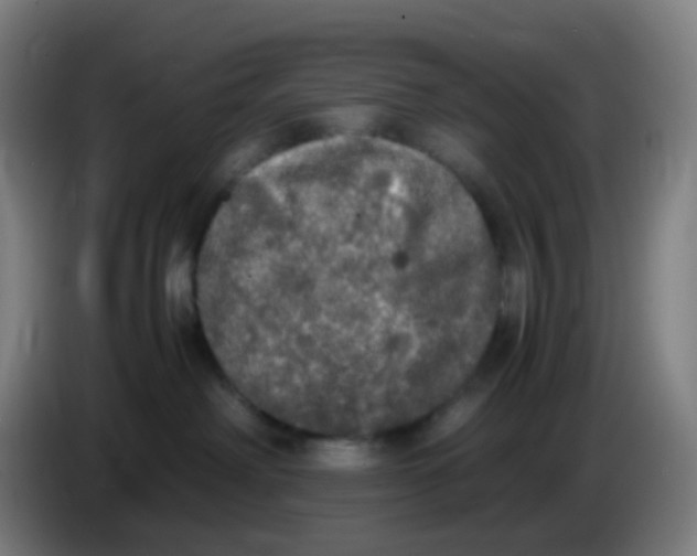 X0000085250238200703301817