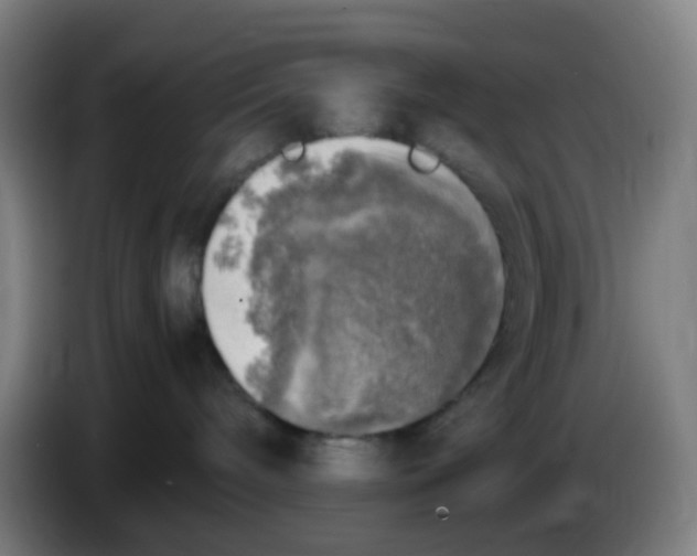 X0000085250240200703301817