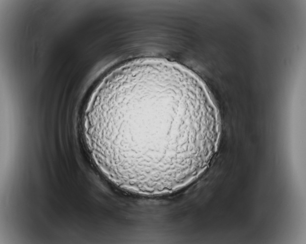 X0000085250242200703301816