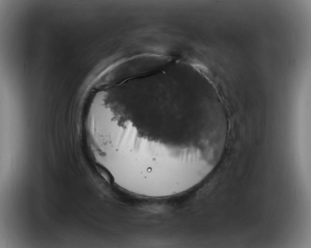 X0000085250247200703301816