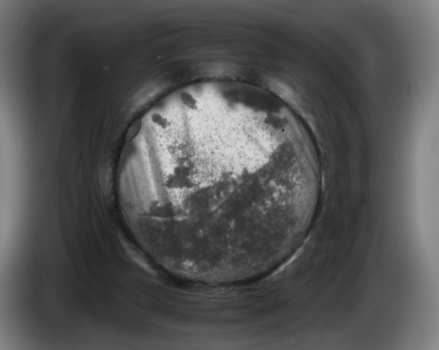 X0000085250249200703301816