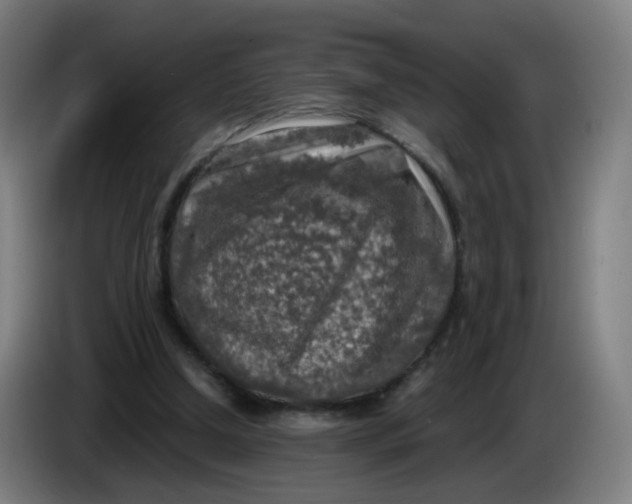 X0000085250250200703301816