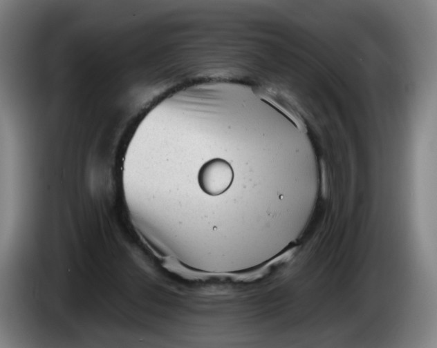 X0000085250252200703301816