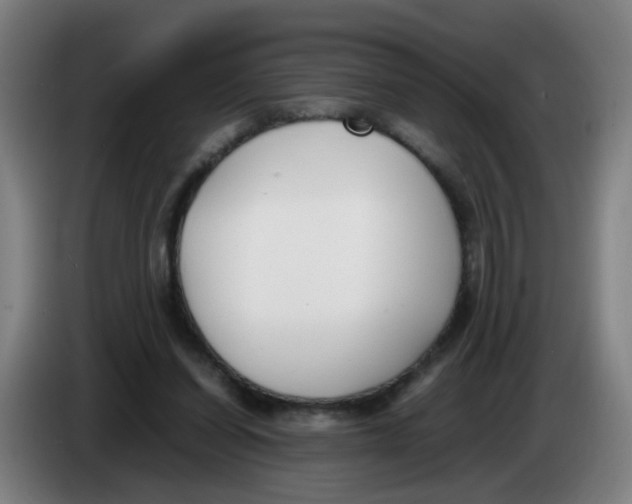 X0000085250254200703301816