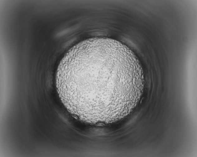 X0000085250255200703301816