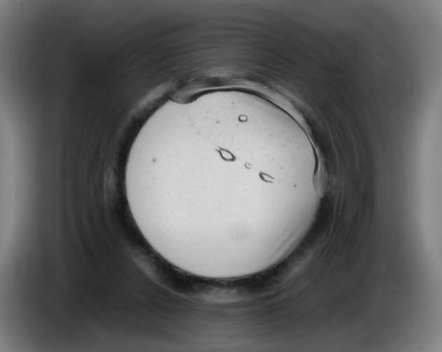 X0000085250256200703301816